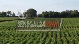 Vacances – campagne agricole