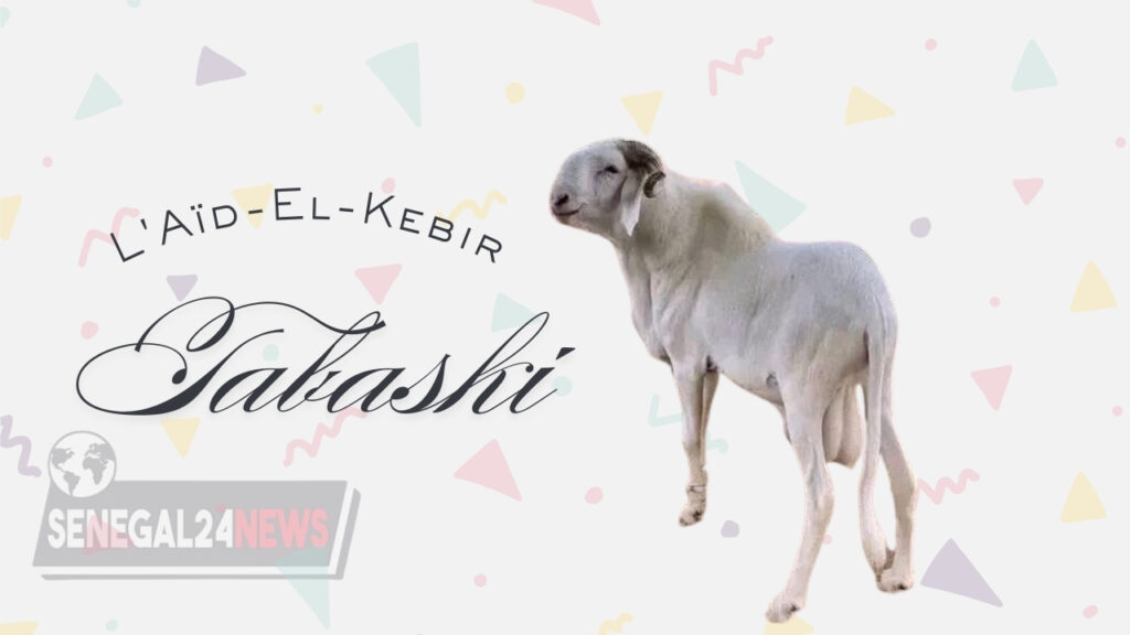 Tabaski – aid-el-kebir – mouton