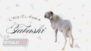 Tabaski – aid-el-kebir – mouton
