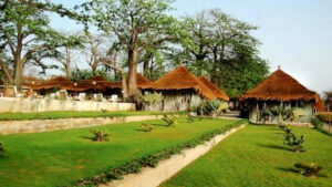 Hotel les paletuviers