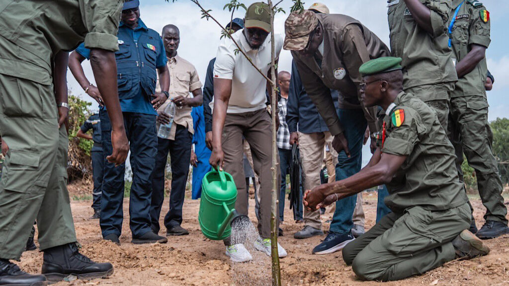 Photo actualité Sénégal