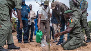 Photo actualité Sénégal