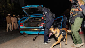 Photo actualité Sénégal