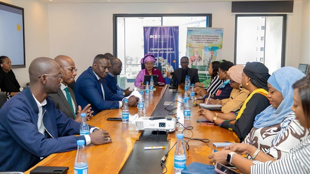 Pape ale niang – dr aissatou mbodji