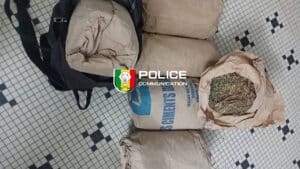 Photo actualité Sénégal